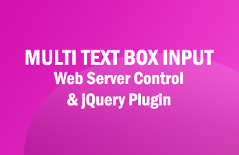 Multi Text Box Input